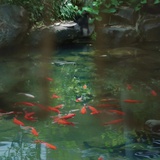 豆友su