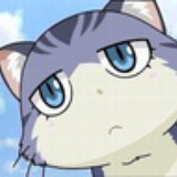 熊猫猫
