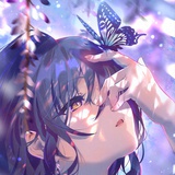 晓梦