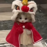 白茶清