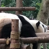 瞬
