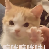 阿君