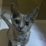 豆友1GbRLtznQQ