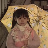 感觉淡淡的。