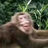 豆友JdywWBpdB0