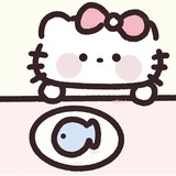 大脸猫ooO