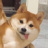 大润发杀十年鱼