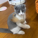 涓涓