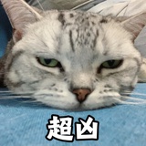 安全出口探索版