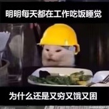 汐汐