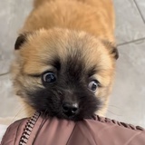 豆芽👋