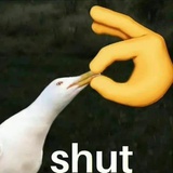 一颗海带苗