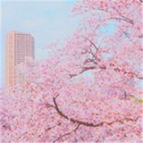 单行道逆行