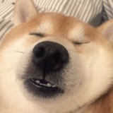 喵三声
