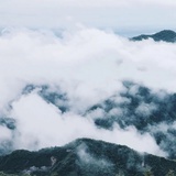 已退