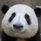 随便你怎么样