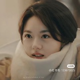 耿爽大使