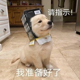 lil