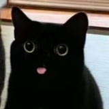 唐旖