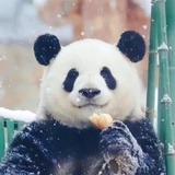 闲逛一名