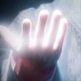 清纯佳人白玫瑰