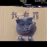 山东沿海在南京