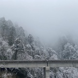 爱心蛋炒饭