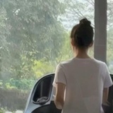 降落在槲寄生
