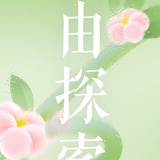 一颗肉圆子