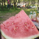 豆友ZXldEZiUK4