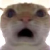 黒