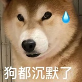 薄皮小姐
