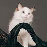 🎀