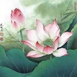 都是最好的安排