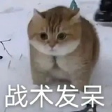 AAA被窝哲学家