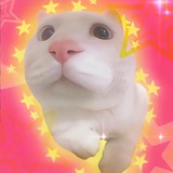 豆友683237