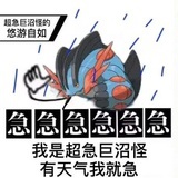 夏天末尾的流纹