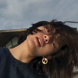 鸽