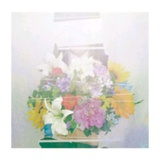 Xilin