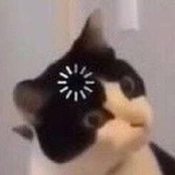 好