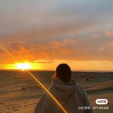 一只不听话的奶牛猫