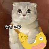 走走走走走