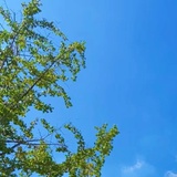 柔情80