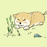 空苑秋華