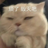 雌鹰大女人