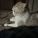得过且过