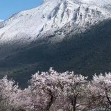 旅之星