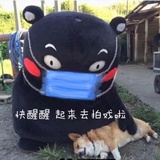豆友269503192