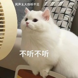 不听不听