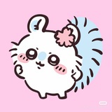 毛毛猪大王